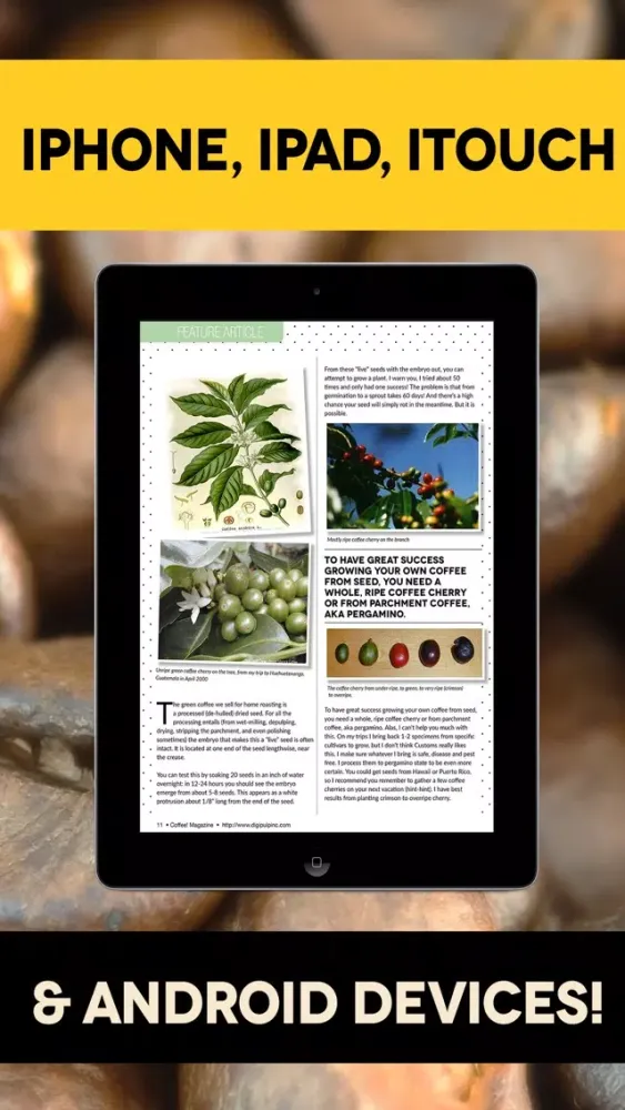 Tangkapan layar Coffee & Espresso Magazine - Your Home Coffee Shop