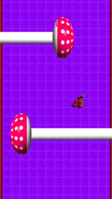 تصاویر Butterfly Climb