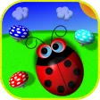 Tilt Tilt Ladybug Tilt Tilt Ladybug