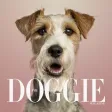 A+ The Doggie Magazine App - Dog Training, Obedience, Tips, Guides, Games & More For Your Puppy