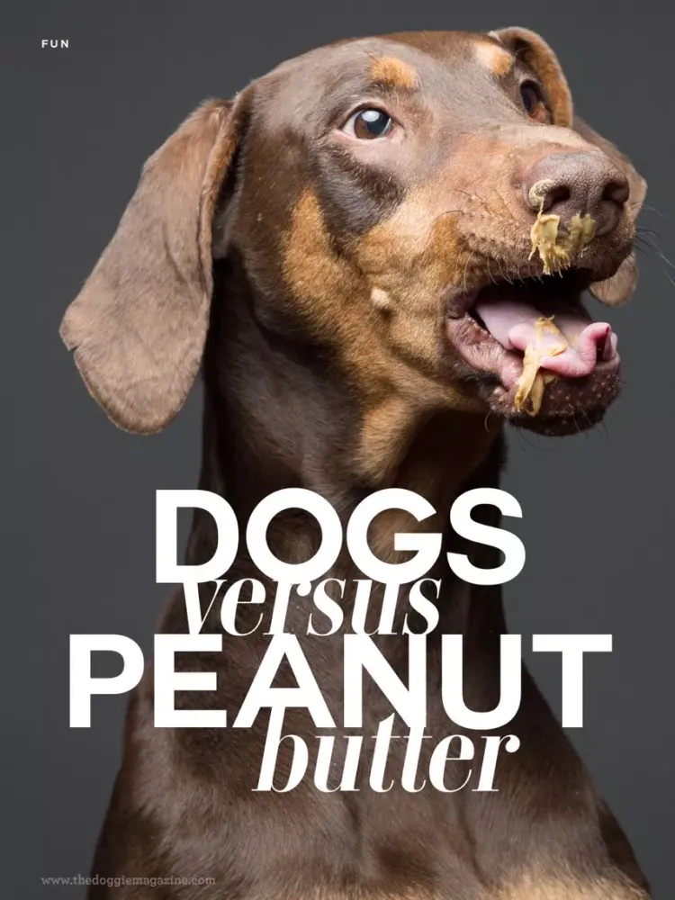 Zrzuty ekranu A+ The Doggie Magazine App - Dog Training, Obedience, Tips, Guides, Games & More For Your Puppy iPad 