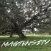 Magtensity