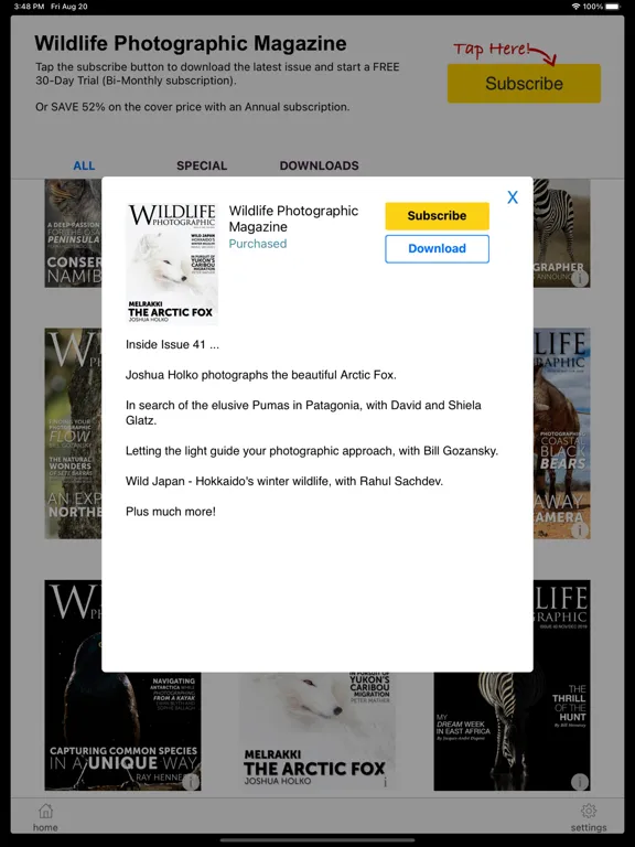 Скриншоты MC Publisher's Preview iPad 