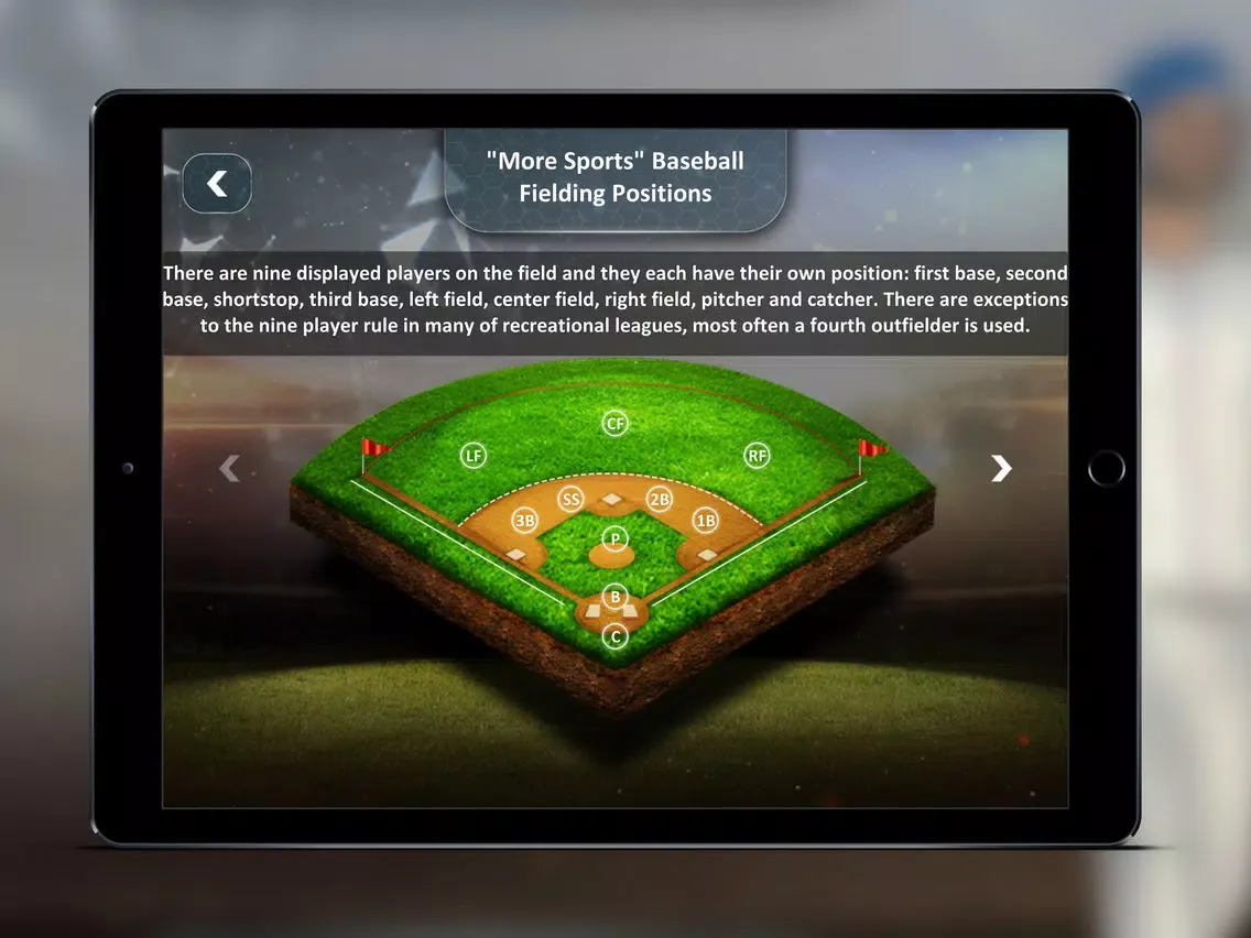 Tangkapan skrin Baseball Bee the Buzz Series iPad 