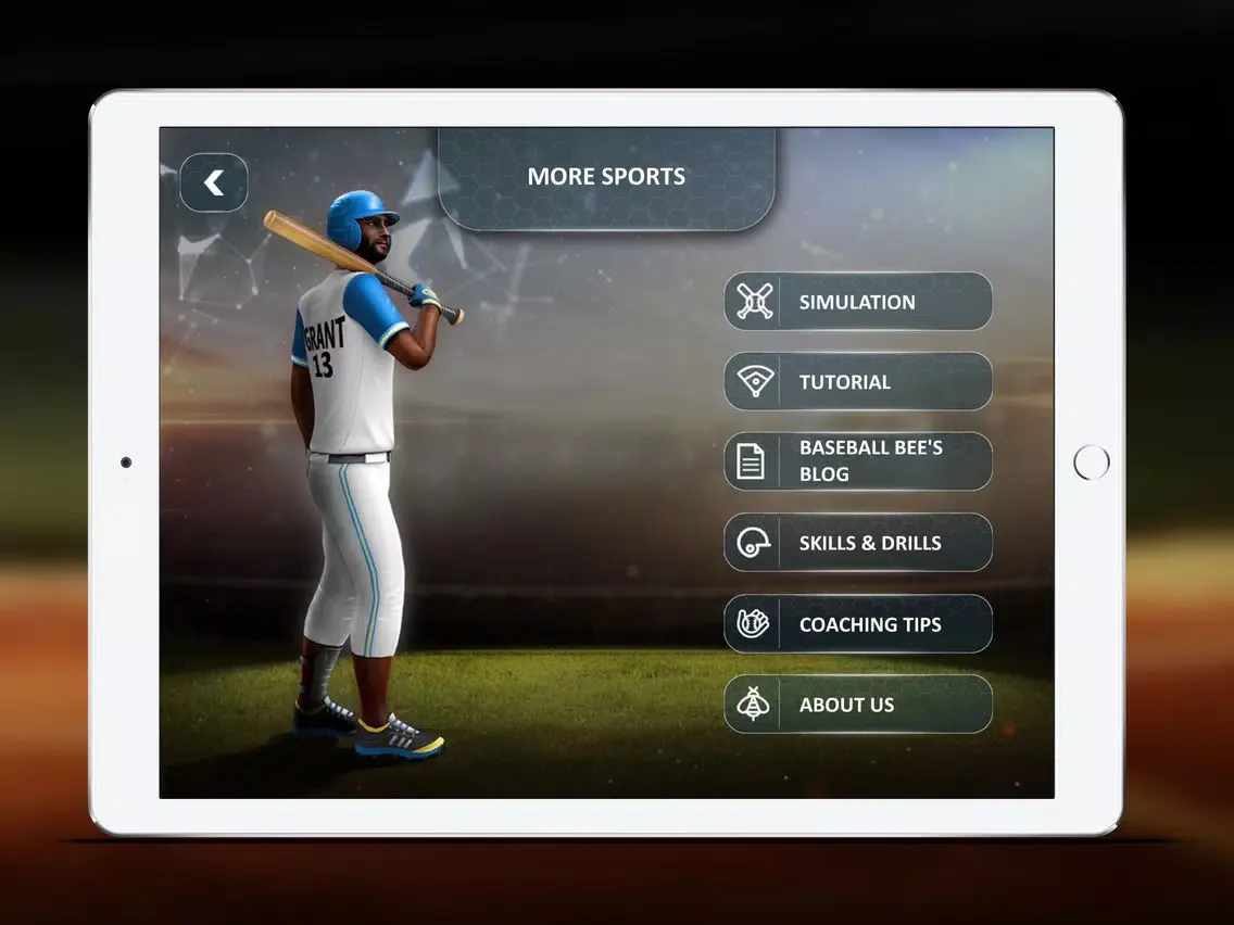 Tangkapan skrin Baseball Bee the Buzz Series iPad 