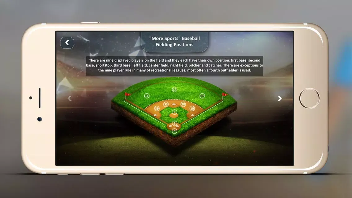 Tangkapan skrin Baseball Bee the Buzz Series