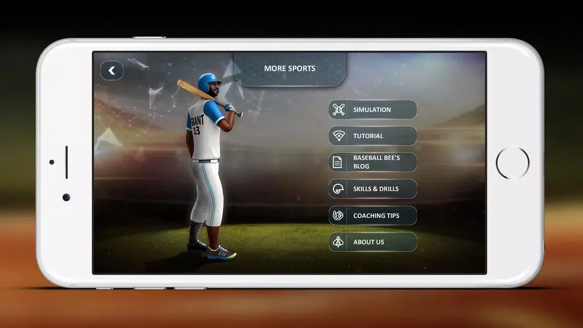Tangkapan skrin Baseball Bee the Buzz Series