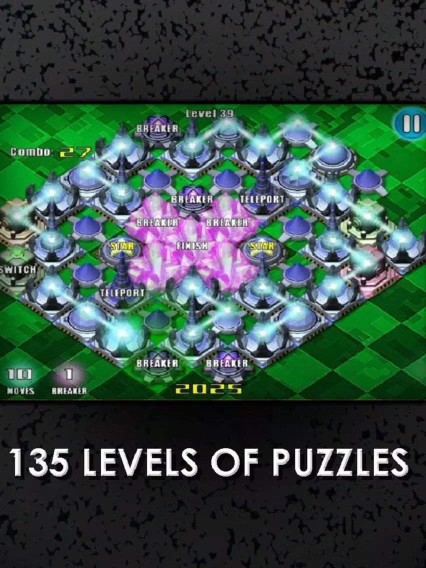 Captures d'écran de Prizma Puzzle iPad 