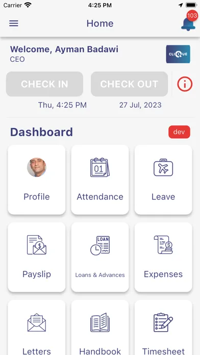 Screenshot di Talmaro-ESS