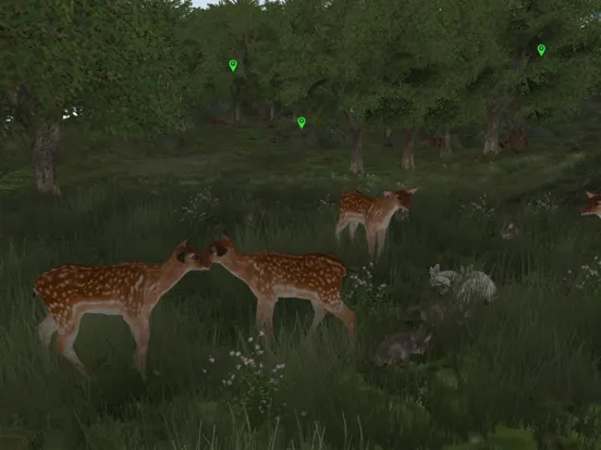 Zrzuty ekranu Life Of Deer Remastered iPad 