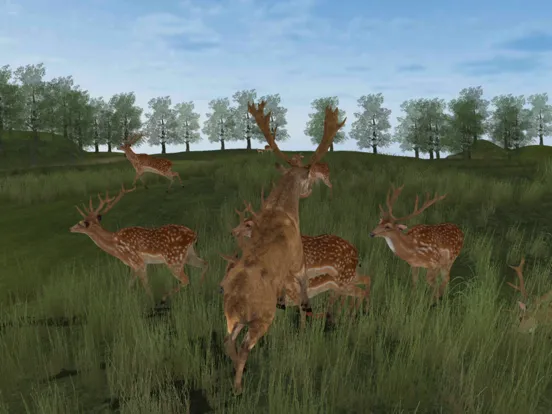 Zrzuty ekranu Life Of Deer Remastered iPad 