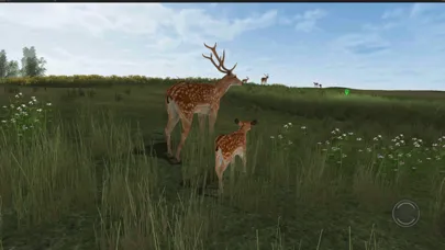 Zrzuty ekranu Life Of Deer Remastered