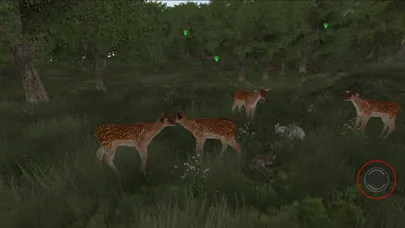 Zrzuty ekranu Life Of Deer Remastered