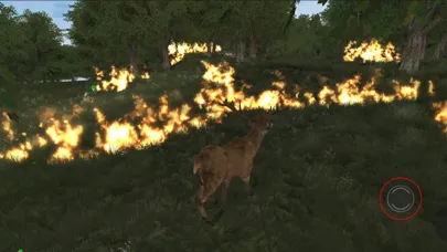 Zrzuty ekranu Life Of Deer Remastered