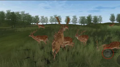 Zrzuty ekranu Life Of Deer Remastered