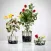 Flower Arrangement 101|Tutorial Guide and Tips