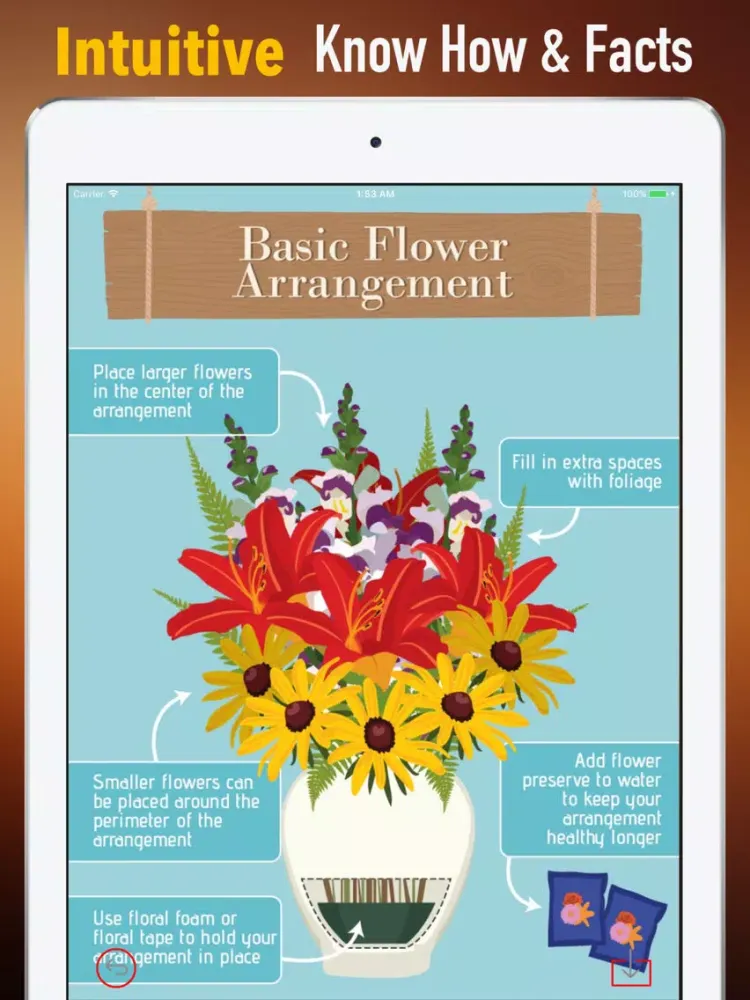 Flower Arrangement 101|Tutorial Guide and Tips iPad Screenshots