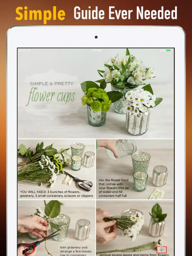 Flower Arrangement 101|Tutorial Guide and Tips iPad Screenshots