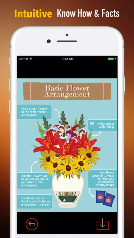 Flower Arrangement 101|Tutorial Guide and Tips Screenshots