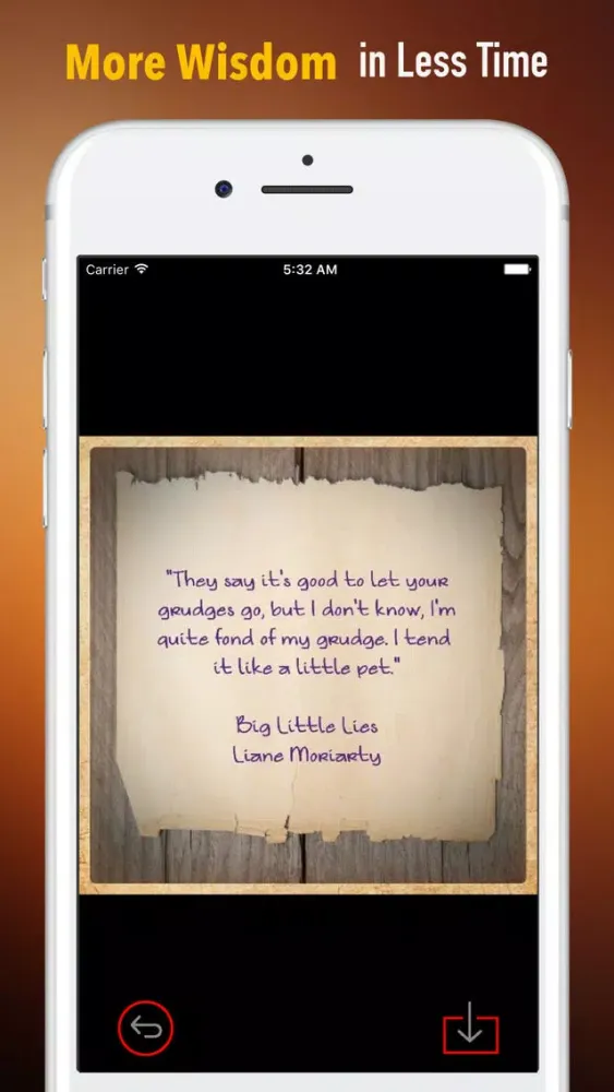 Quick Wisdom from Big Little Lies-Practical Guide স্ক্রিনশট