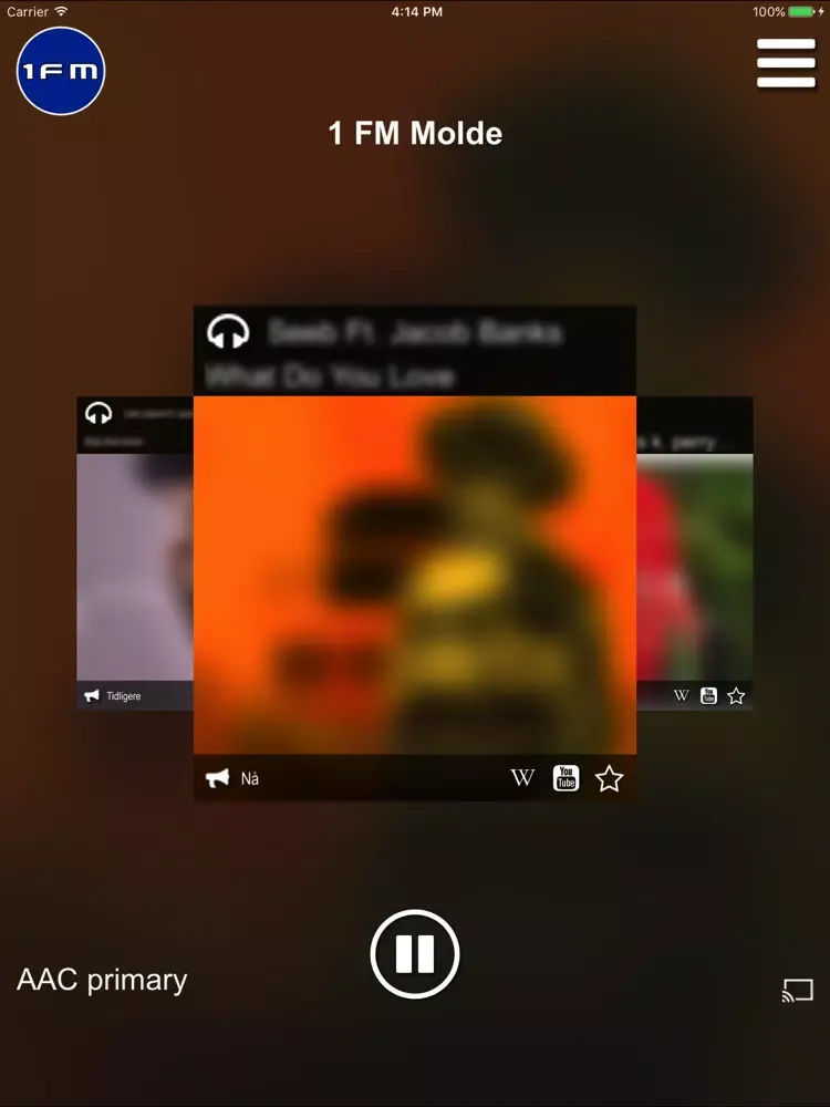 1FM Molde iPad  Screenshots