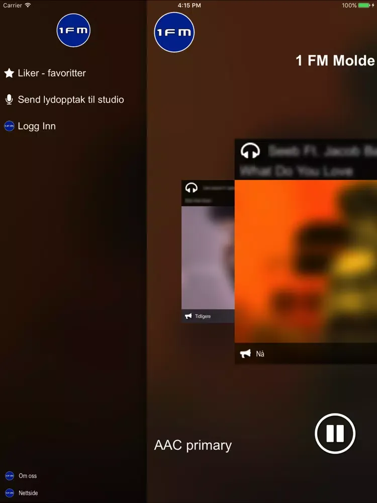 1FM Molde iPad  Screenshots