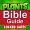 Bible Guide For Lockedgate Of Plants vs. Zombies 2