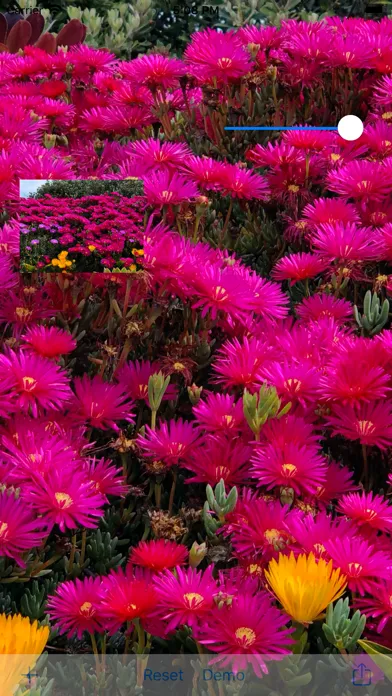 تصاویر Brighten Me