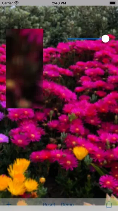 Blur Me Pro Ekran Görüntüleri