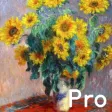 OilPainting Pro
