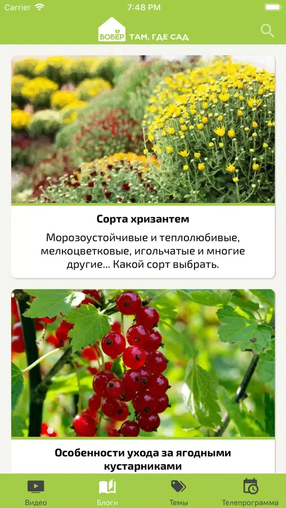 Бобёр Сад Ekran Görüntüleri