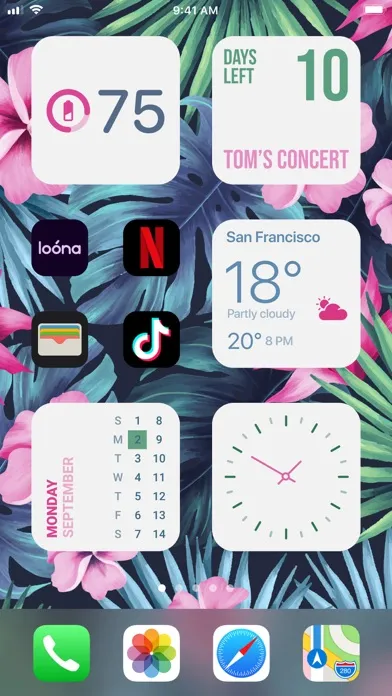 Zrzuty ekranu Widget | Countdown to birthday