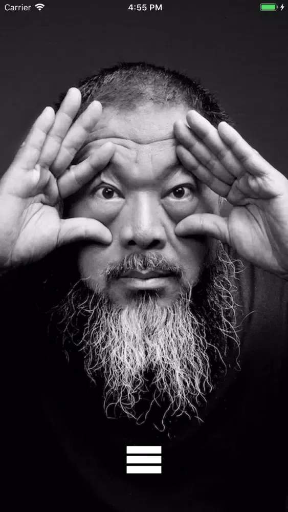 RAIZ | AI WEIWEI Screenshots