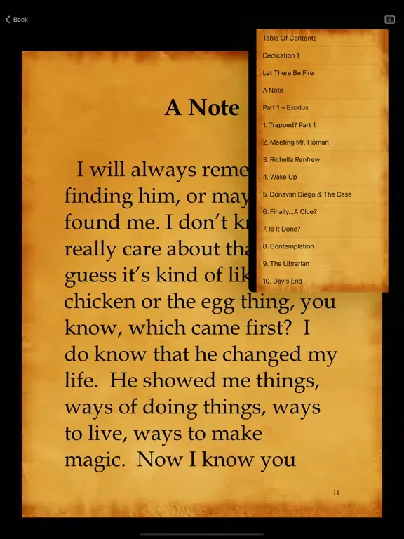 تصاویر Sympathy For The Devil iPad 