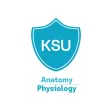 Anatomy Physiology