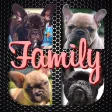 Frenchie Family - French Bulldog Pack Builder