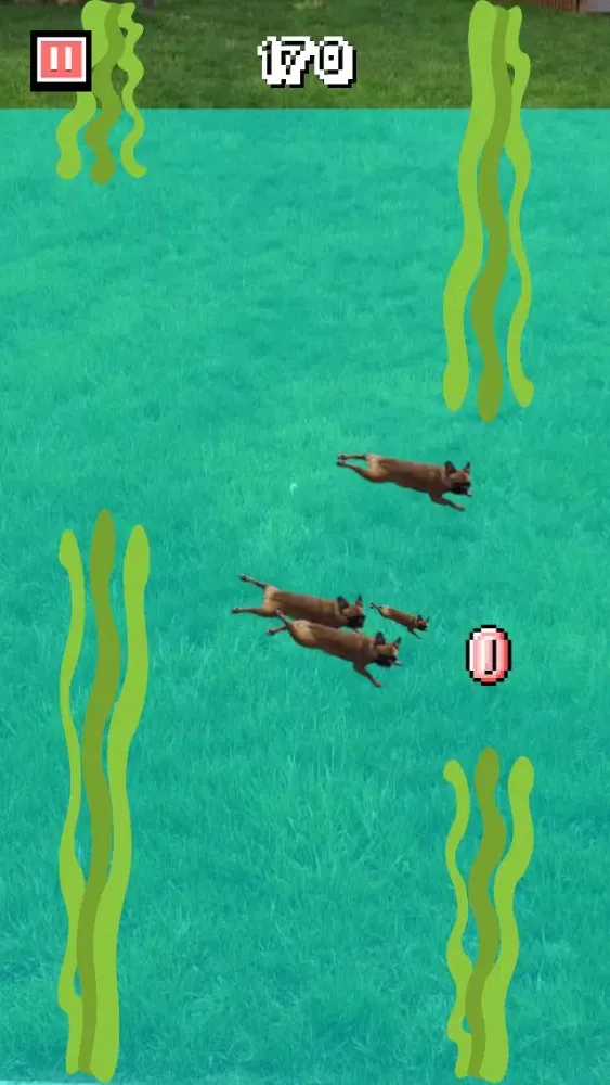 Capturas de tela do Frenchie Family - French Bulldog Pack Builder