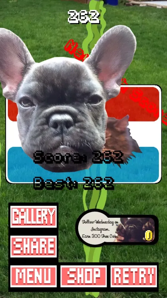 Capturas de tela do Frenchie Family - French Bulldog Pack Builder