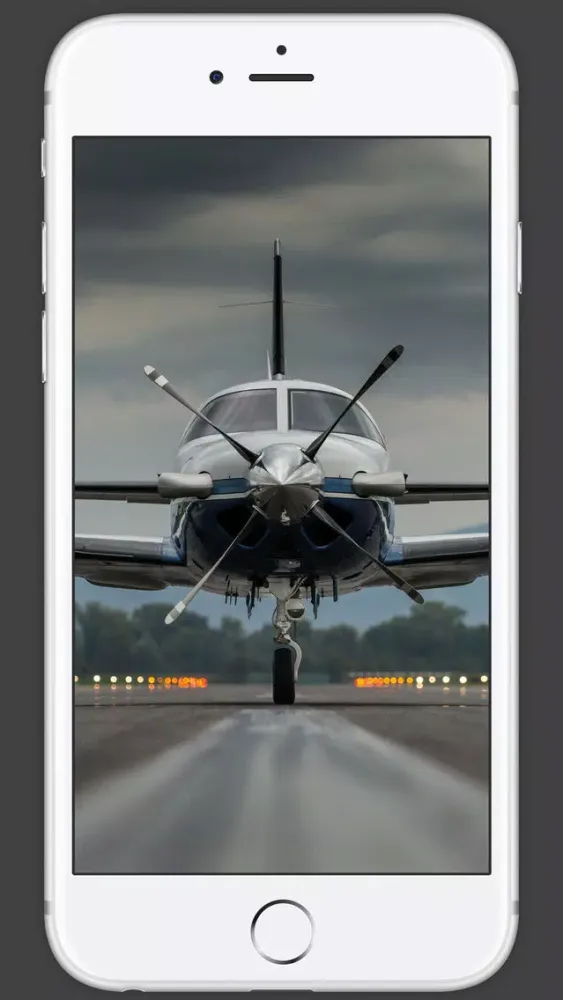 Tangkapan skrin 365 Aviation