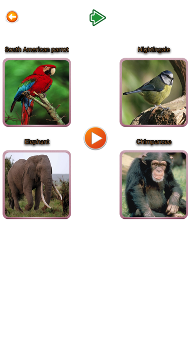 Tangkapan layar Animal Finger Family Songs & More Nursery Rhymes
