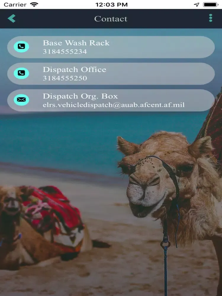 379TH ELRS GROUND TRANS iPad  سکرین شاٹس