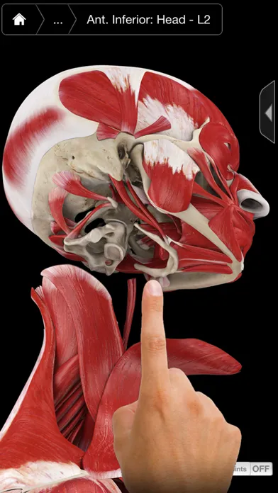 Muscle System Pro III - iPhone Screenshots