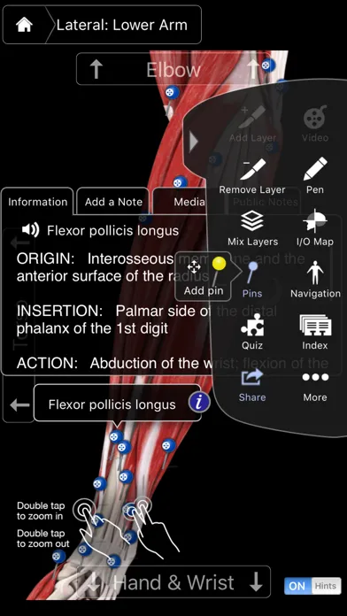 Muscle System Pro III - iPhone Screenshots