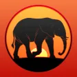 Earth 3D - Animal Atlas Earth 3D - Animal Atlas