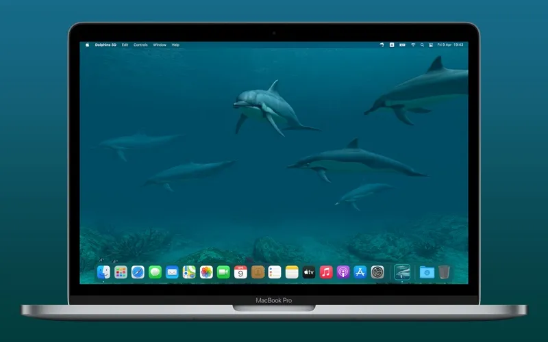 Captures d'écran de Dolphins 3D