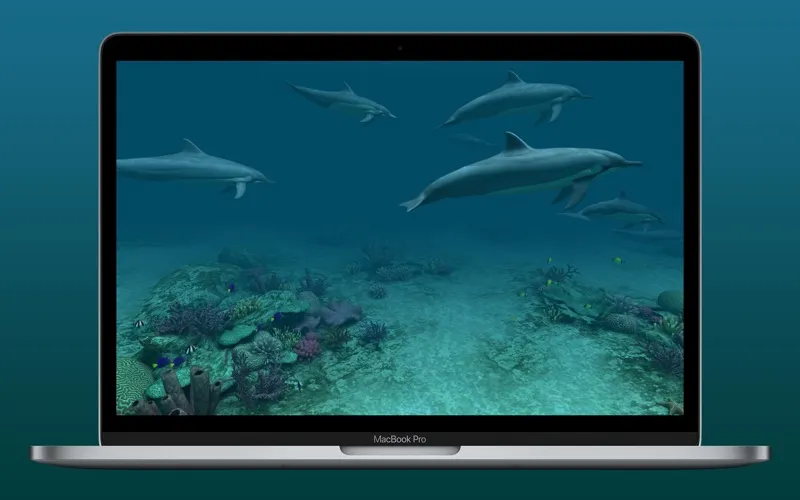 Captures d'écran de Dolphins 3D