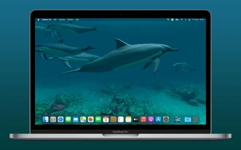 Captures d'écran de Dolphins 3D
