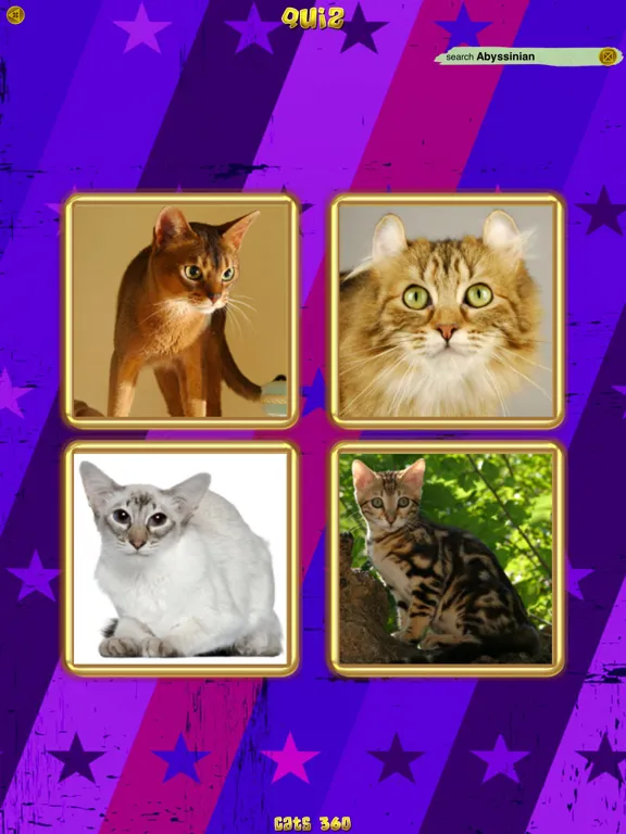 صور Cats 360 iPad 