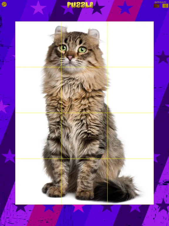 صور Cats 360 iPad 