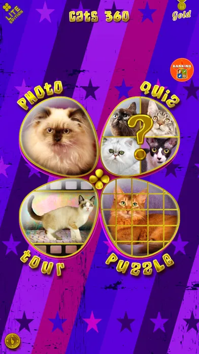 صور Cats 360